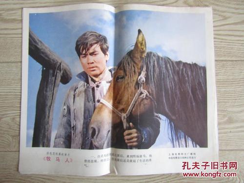 买假台湾居民往来大陆通行证